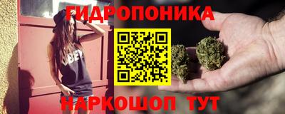 винт Камышлов