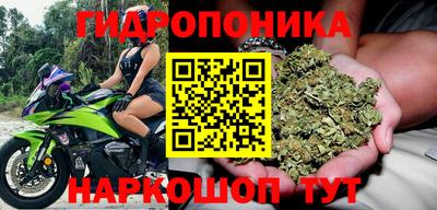 винт Камышлов
