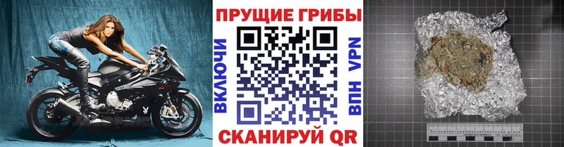 Псилоцибиновые грибы мухоморы Саянск