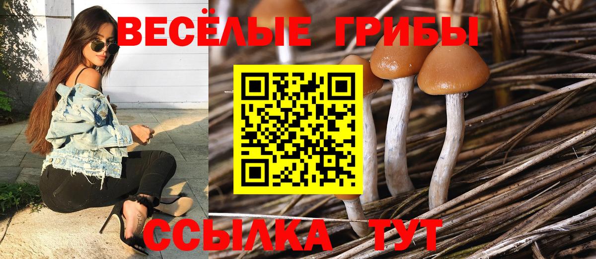 ГАШ  Вход с VPN  ГАШ  NBOMe  Саянск  Кокаин  Alpha-PVP СОЛЬ   Меф МЯУ МЯУ кристаллы 