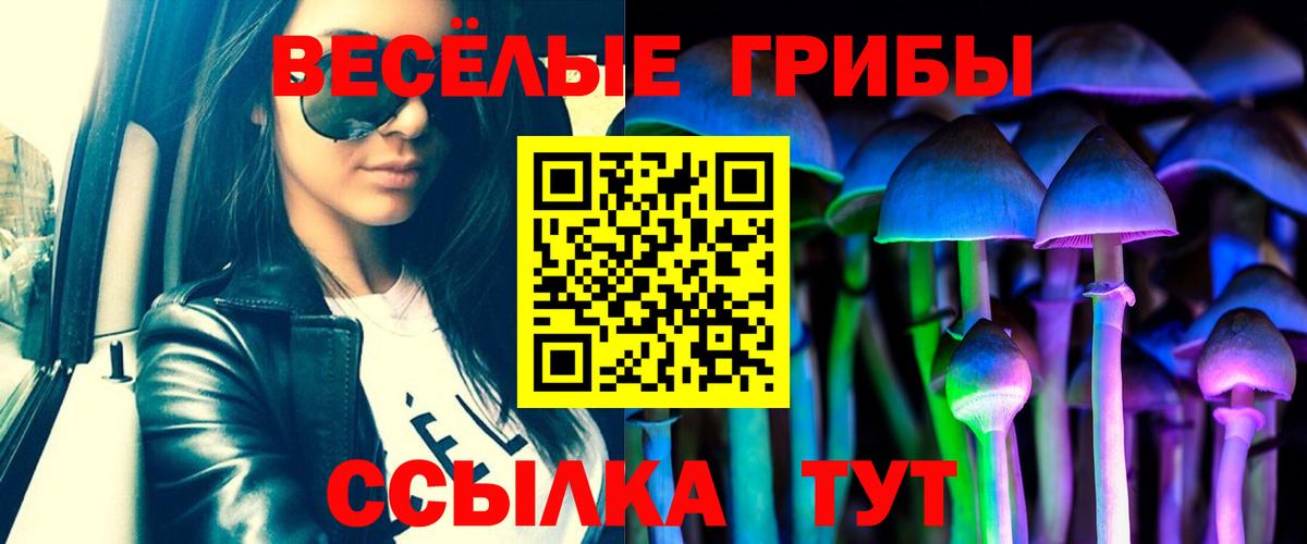 Псилоцибиновые грибы Psilocybine cubensis Саянск