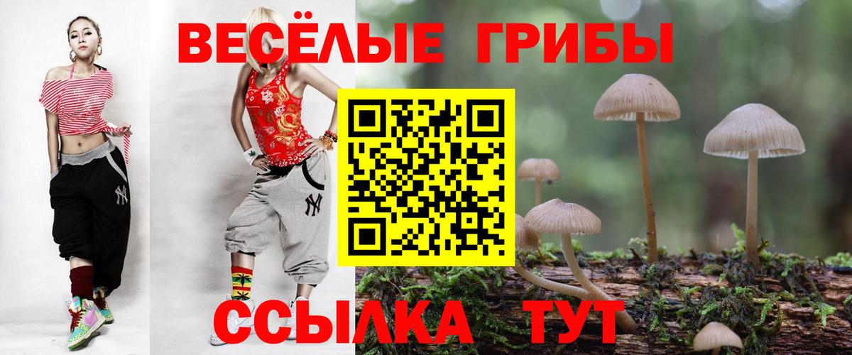 Саянск  Галлюциногенные грибы мицелий  Вход с VPN 